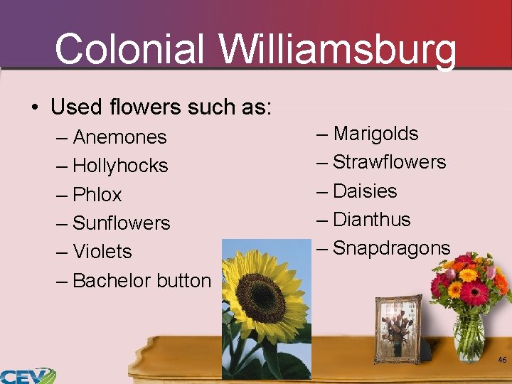 Colonial Williamsburg • Used flowers such as: – Anemones – Hollyhocks – Phlox – Colonial Williamsburg • Used flowers such as: – Anemones – Hollyhocks – Phlox –