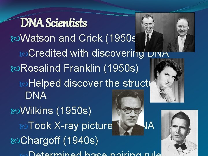 DNA Scientists Watson and Crick (1950 s) Credited with discovering DNA Rosalind Franklin (1950