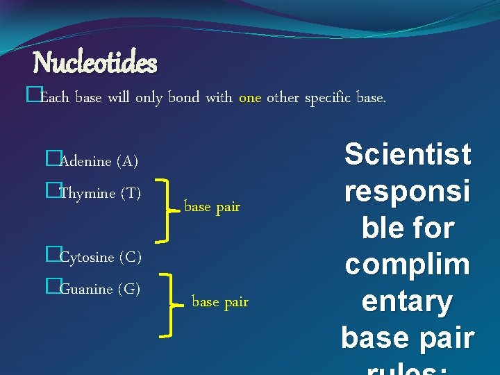 Nucleotides �Each base will only bond with one other specific base. �Adenine (A) �Thymine