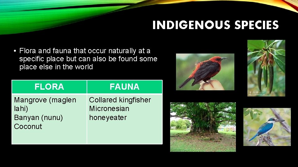 INDIGENOUS SPECIES • Flora and fauna that occur naturally at a specific place but