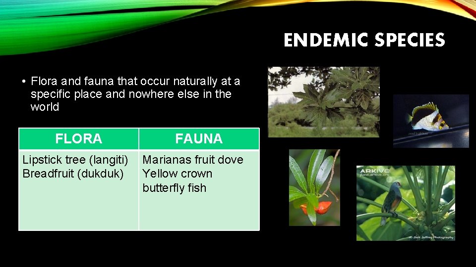 ENDEMIC SPECIES • Flora and fauna that occur naturally at a specific place and