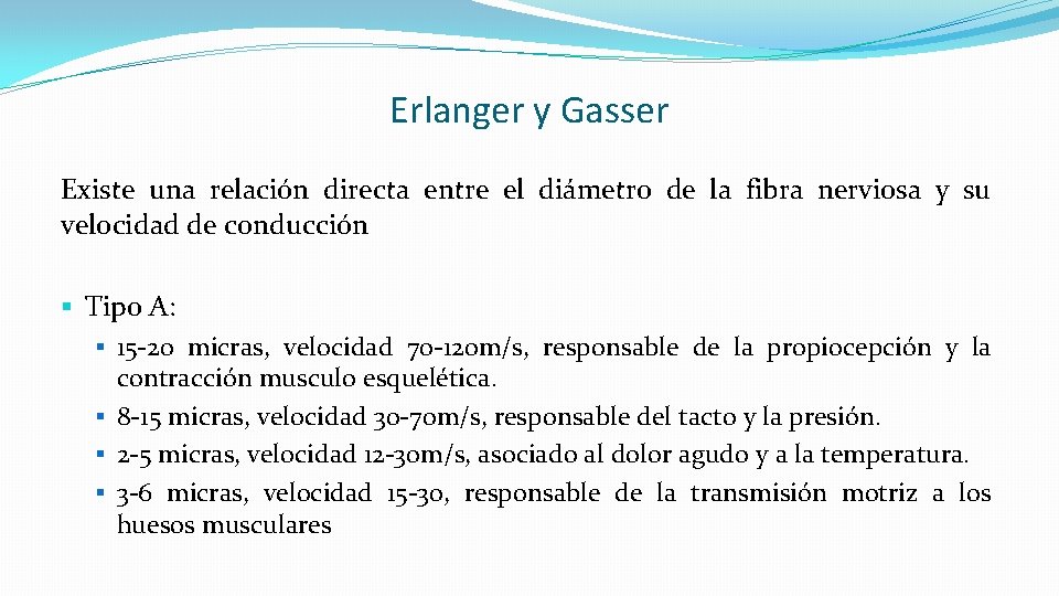 Erlanger y Gasser Existe una relación directa entre el diámetro de la fibra nerviosa