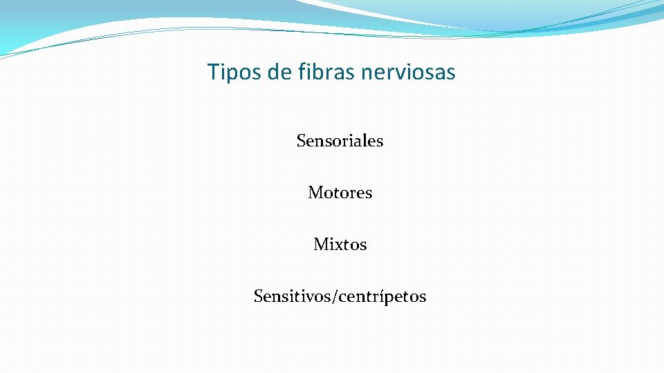 Tipos de fibras nerviosas Sensoriales Motores Mixtos Sensitivos/centrípetos 