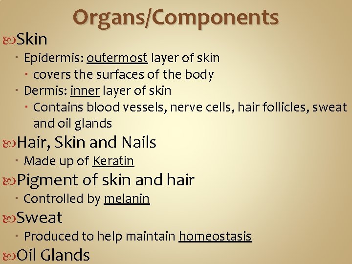 Organs/Components Skin Epidermis: outermost layer of skin covers the surfaces of the body Dermis: