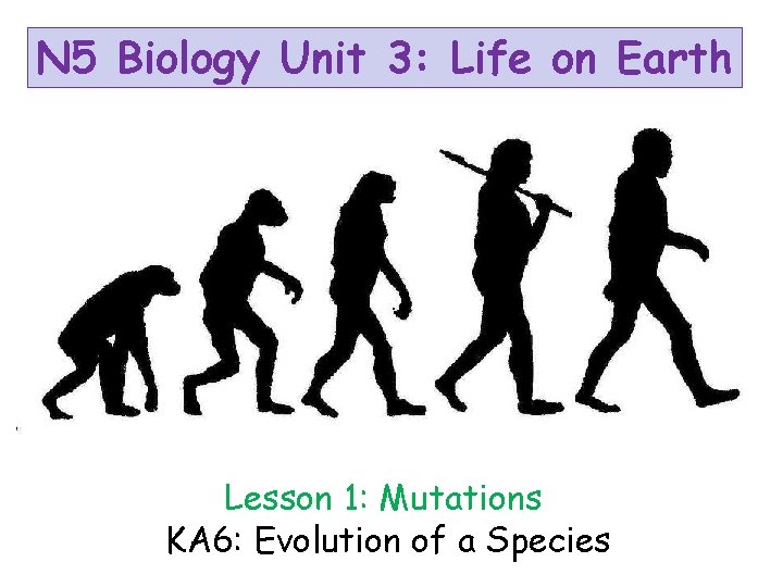 N 5 Biology Unit 3: Life on Earth Lesson 1: Mutations KA 6: Evolution