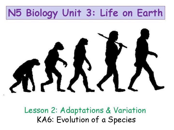 N 5 Biology Unit 3: Life on Earth Lesson 2: Adaptations & Variation KA