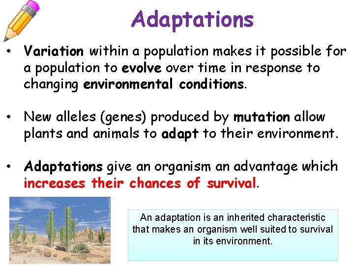 Adaptations • Variation within a population makes it possible for a population to evolve