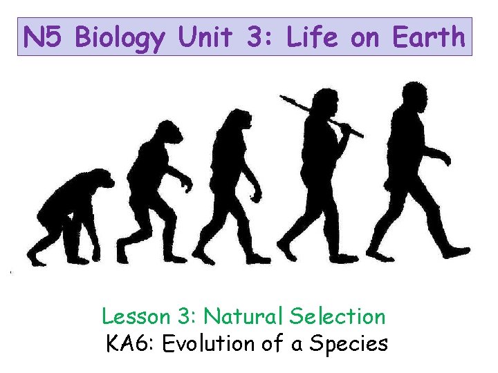 N 5 Biology Unit 3: Life on Earth Lesson 3: Natural Selection KA 6: