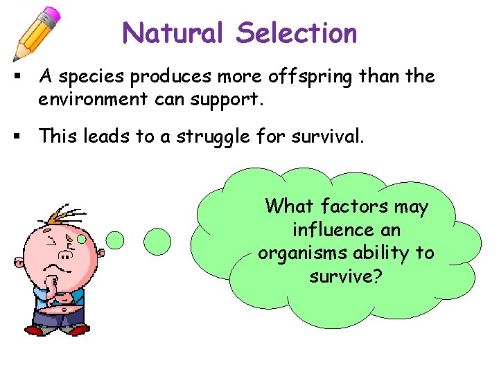 Natural Selection § A species produces more offspring than the environment can support. §