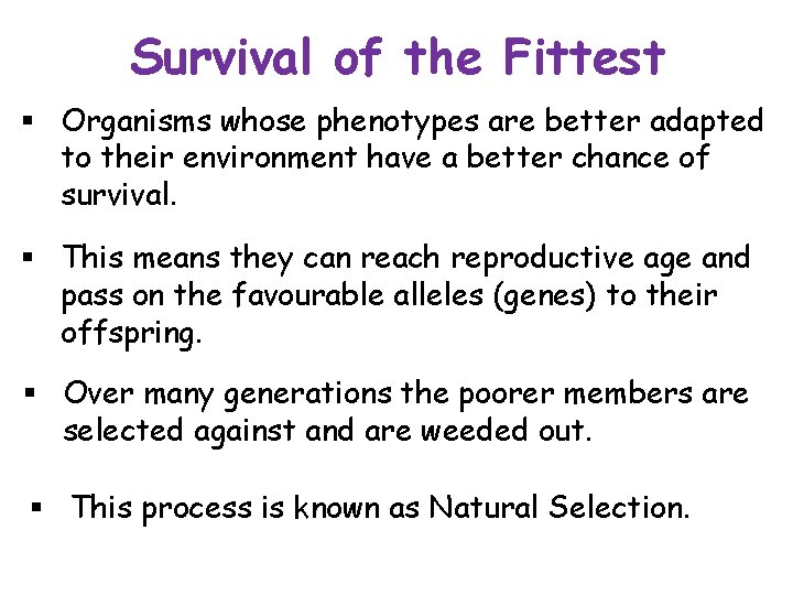 Survival of the Fittest § Organisms whose phenotypes are better adapted to their environment