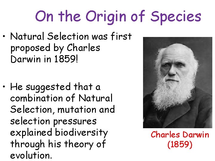 On the Origin of Species • Natural Selection was first proposed by Charles Darwin