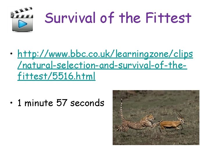 Survival of the Fittest • http: //www. bbc. co. uk/learningzone/clips /natural-selection-and-survival-of-thefittest/5516. html • 1