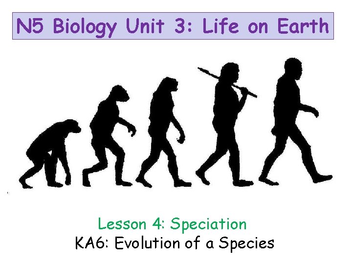 N 5 Biology Unit 3: Life on Earth Lesson 4: Speciation KA 6: Evolution
