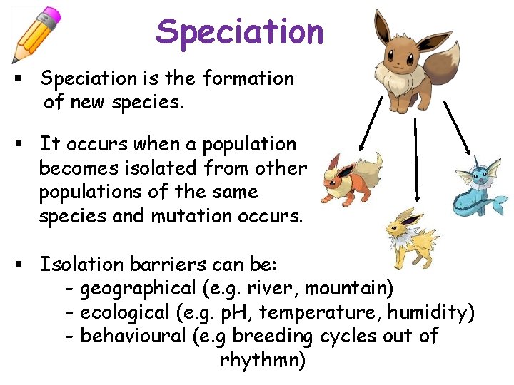 Speciation § Speciation is the formation of new species. § It occurs when a