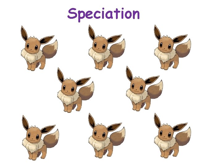 Speciation 