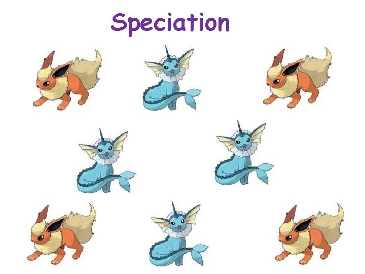 Speciation 