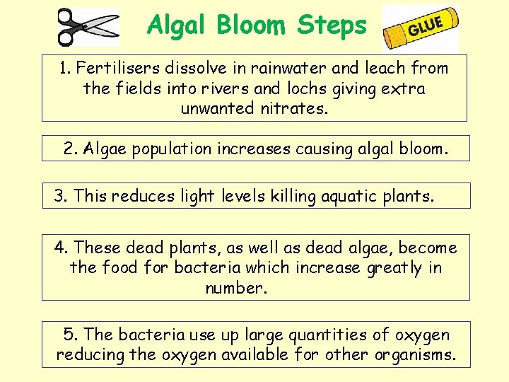 Algal Bloom Steps 1. Fertilisers dissolve in rainwater and leach from the fields into