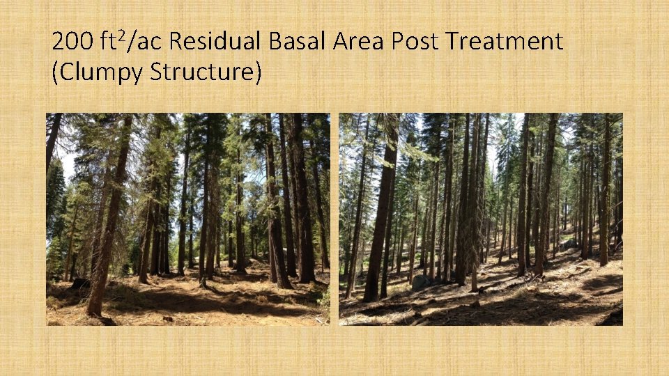 200 ft 2/ac Residual Basal Area Post Treatment (Clumpy Structure) 