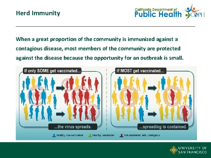 Herd Immunity When a great proportion of the community is immunized against a contagious