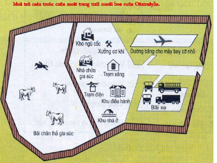 Moâ taû caáu truùc cuûa moät trang traïi nuoâi boø cuûa Oâxtraâylia. 