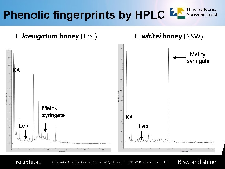 Phenolic fingerprints by HPLC L. laevigatum honey (Tas. ) L. whitei honey (NSW) Methyl