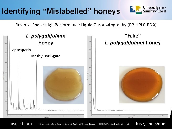 Identifying “Mislabelled” honeys Reverse-Phase High Performance Liquid Chromatography (RP-HPLC-PDA) L. polygalifolium honey Leptosperin Methyl