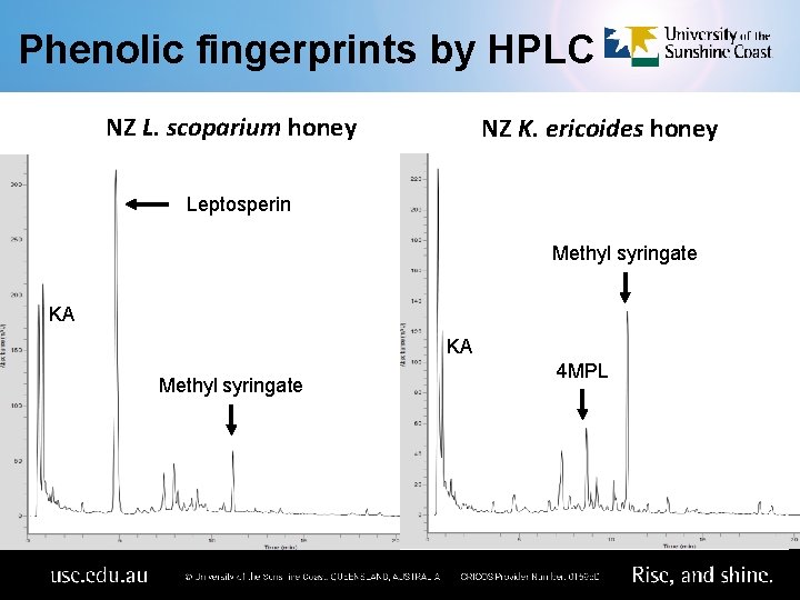 Phenolic fingerprints by HPLC NZ L. scoparium honey NZ K. ericoides honey Leptosperin Methyl