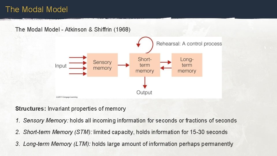 The Modal Model - Atkinson & Shiffrin (1968) Structures: Invariant properties of memory 1.