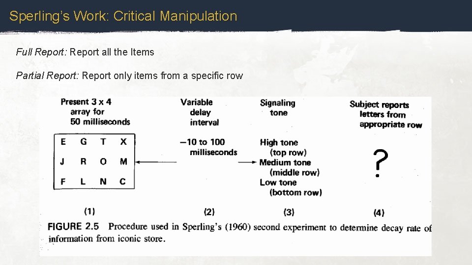 Sperling’s Work: Critical Manipulation Full Report: Report all the Items Partial Report: Report only