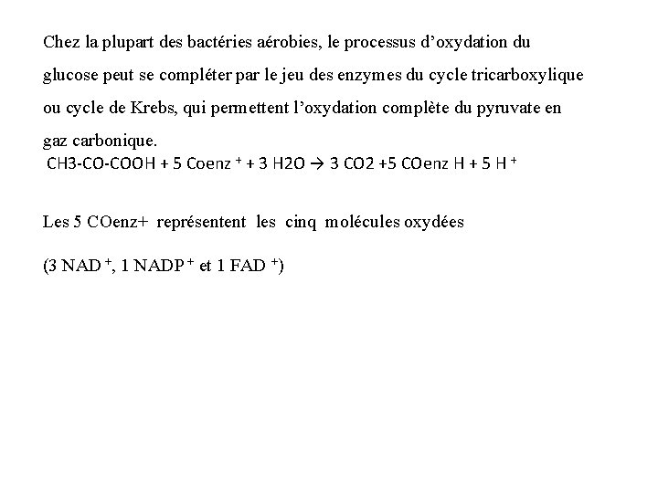 Chez la plupart des bactéries aérobies, le processus d’oxydation du glucose peut se compléter