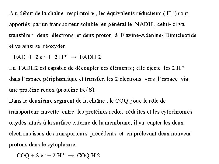 A u début de la chaîne respiratoire , les équivalents réducteurs ( H +)