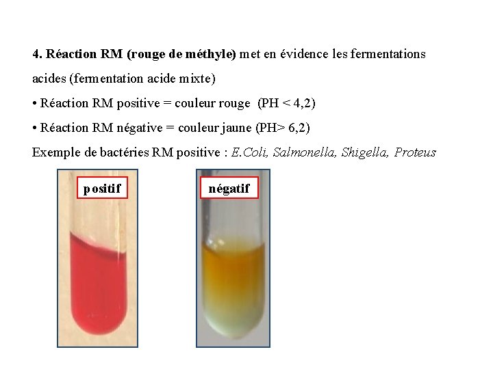 4. Réaction RM (rouge de méthyle) met en évidence les fermentations acides (fermentation acide