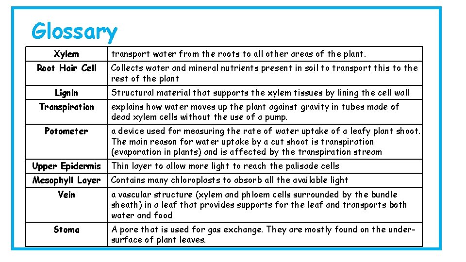 Glossary Xylem Root Hair Cell Lignin Transpiration Potometer transport water from the roots to