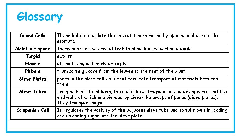 Glossary Guard Cells Moist air space These help to regulate the rate of transpiration