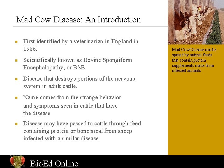Mad Cow Disease: An Introduction n n First identified by a veterinarian in England