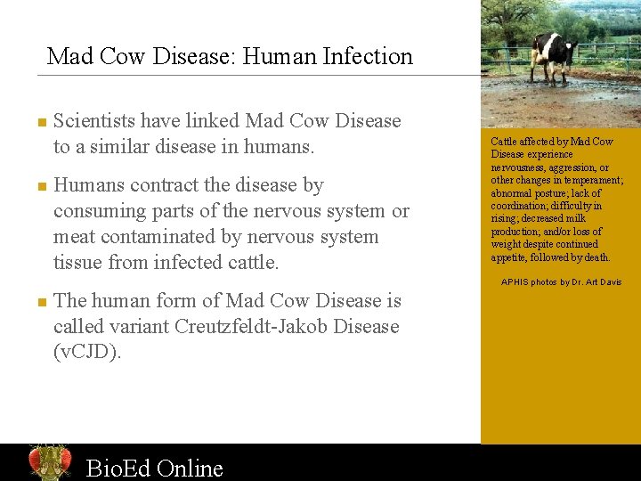 Mad Cow Disease: Human Infection n n Scientists have linked Mad Cow Disease to