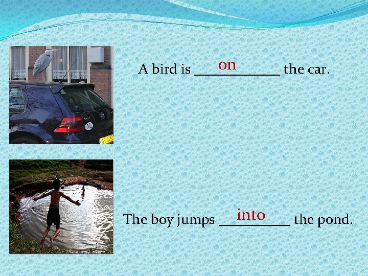 on A bird is ______ the car. into The boy jumps _____ the pond.