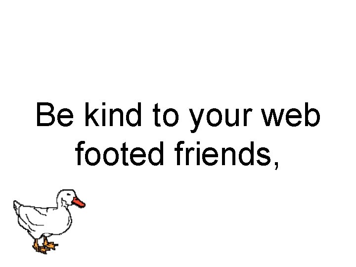 Be kind to your web footed friends, 