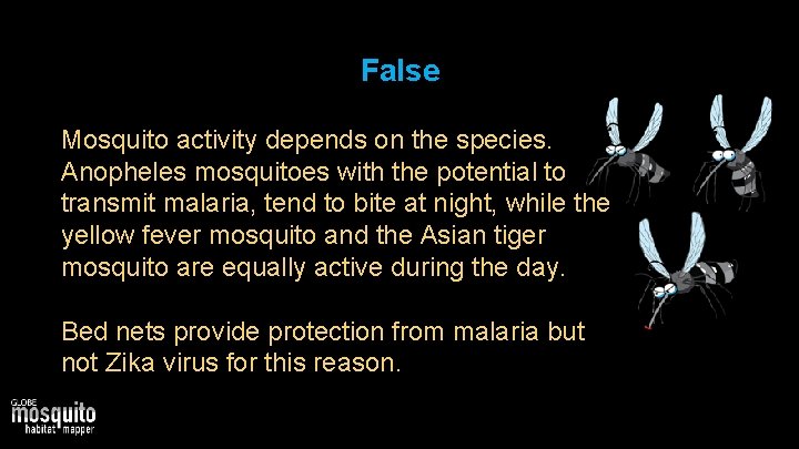 False Mosquito activity depends on the species. Anopheles mosquitoes with the potential to transmit