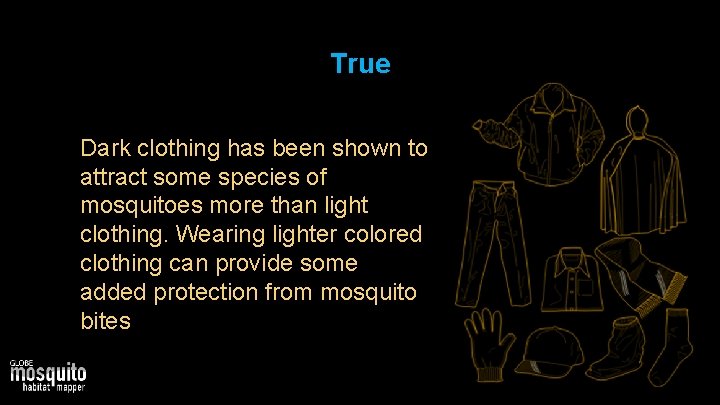 True Dark clothing has been shown to attract some species of mosquitoes more than