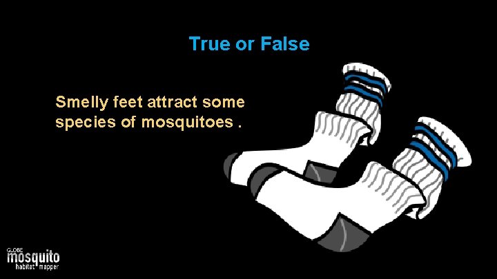 True or False Smelly feet attract some species of mosquitoes. 