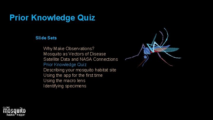 Prior Knowledge Quiz Slide Sets • 1. 2. 3. 4. 5. 6. 7. Why