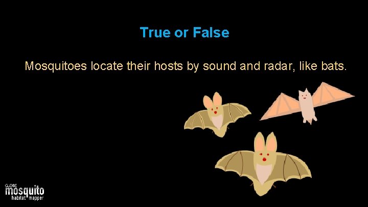 True or False Mosquitoes locate their hosts by sound and radar, like bats. 