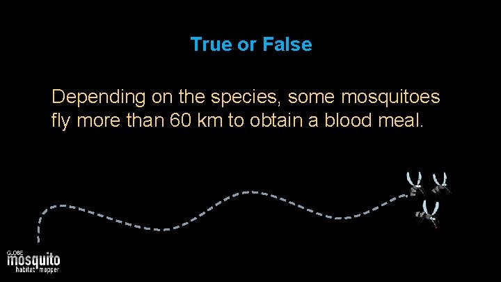 True or False Depending on the species, some mosquitoes fly more than 60 km