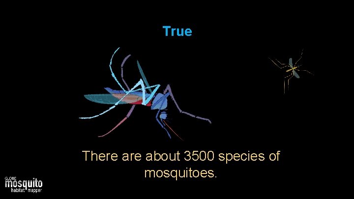 True There about 3500 species of mosquitoes. 