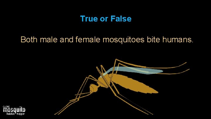 True or False Both male and female mosquitoes bite humans. 