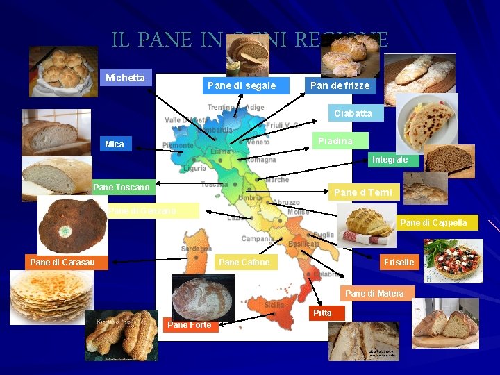 IL PANE IN OGNI REGIONE Michetta Pane di segale Pan de frizze Ciabatta Piadina