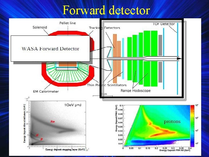 Forward detector Forward detector