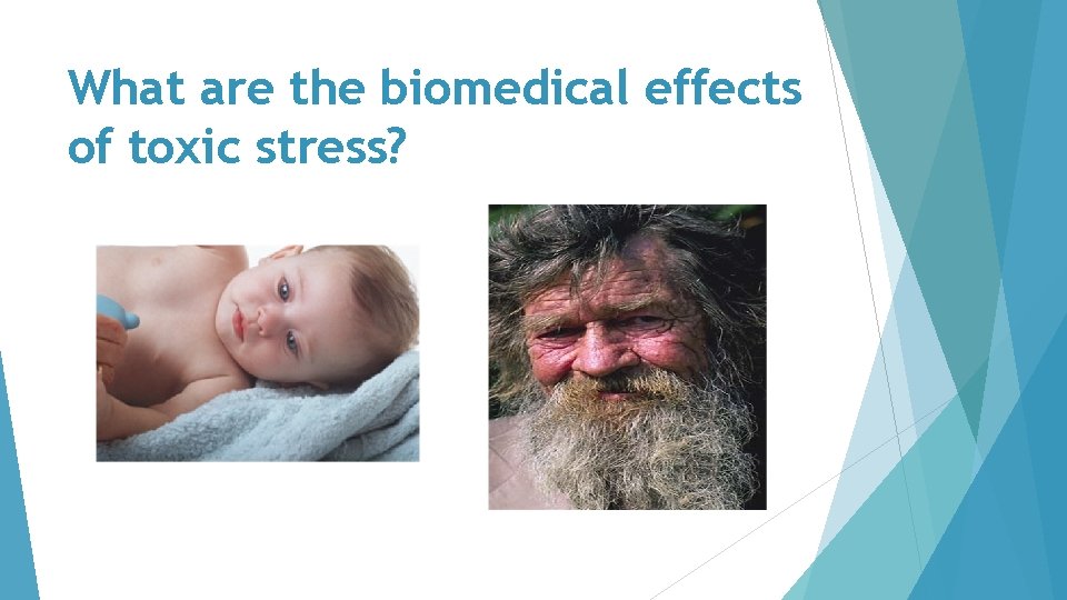 What are the biomedical effects of toxic stress? 
