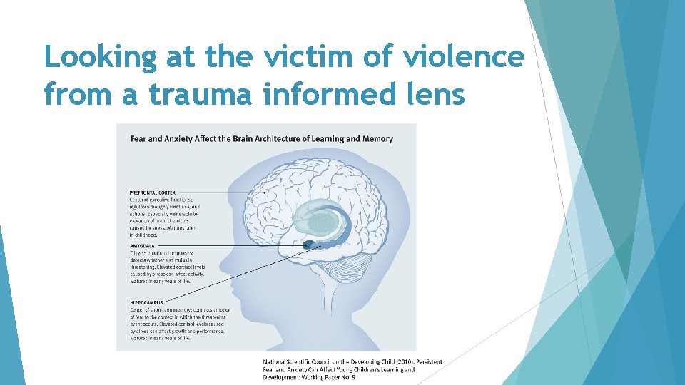 Looking at the victim of violence from a trauma informed lens 
